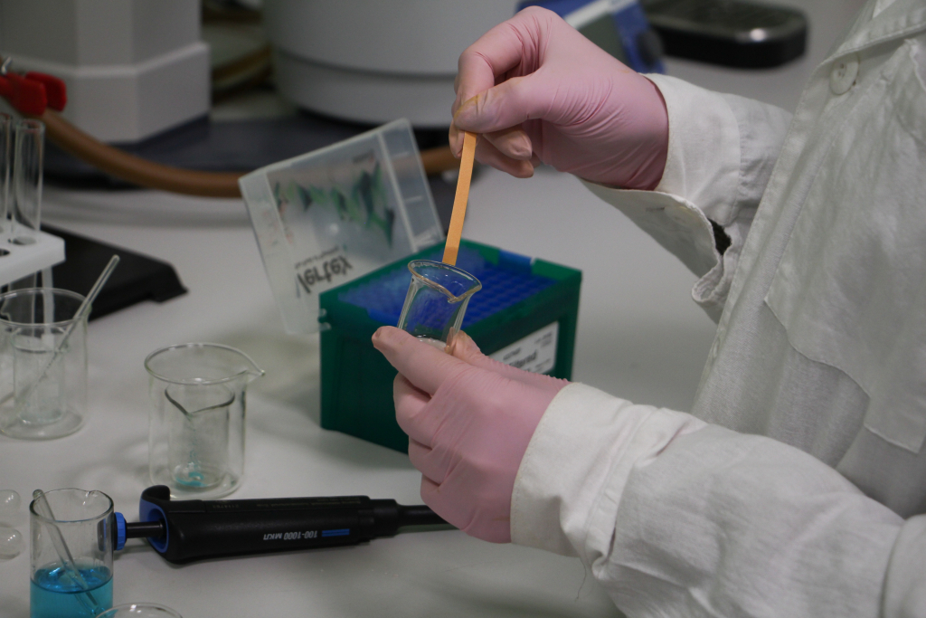 Лабораторный синтез: создание новых комплексов