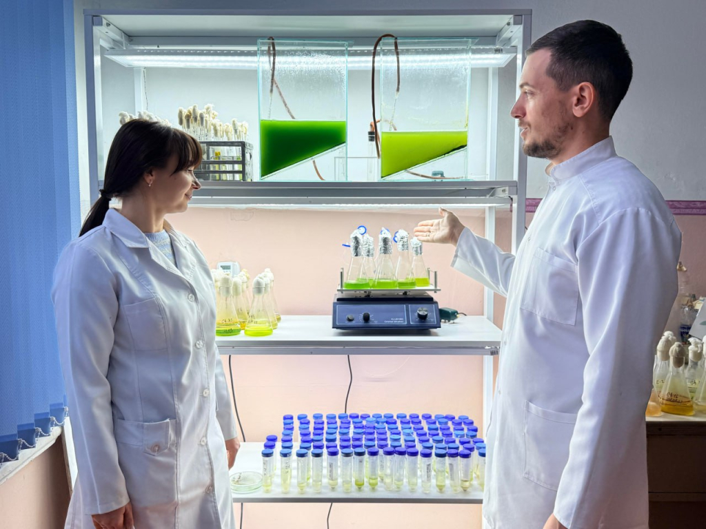 Кандидат биологический наук доцент Александр Яковийчук и старший преподаватель Анжелика Кочубей за работой