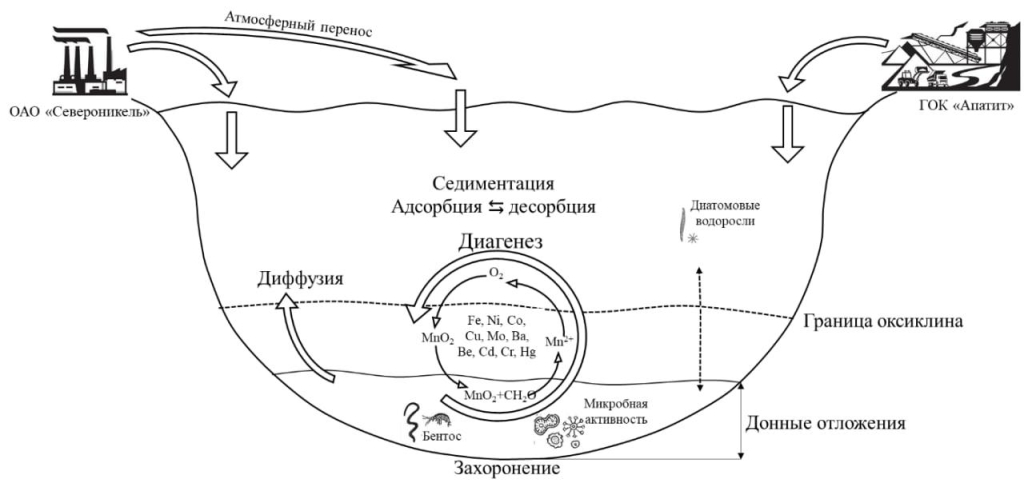 Ключевые биогеохимические процессы в озере Имандра