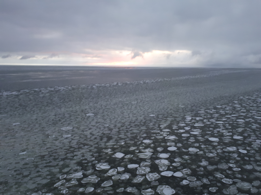 Геохимическая и гранулометрическая дифференциация донных осадков моря Лаптевых 
