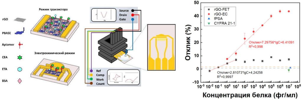 Схема двухмодового биосенсора и градуировочный график