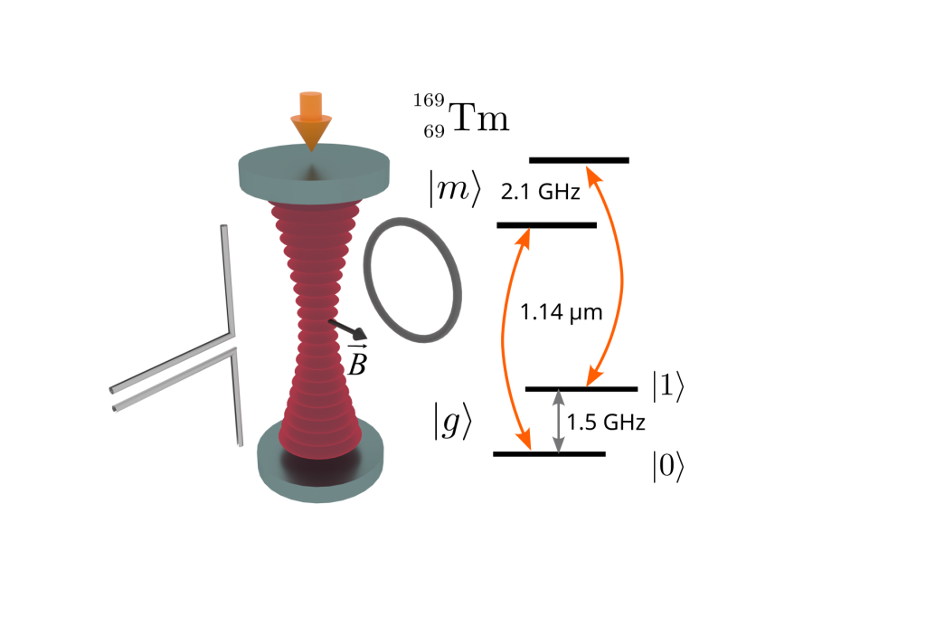 Предложен новый тип атомов для создания квантовых компьютеров с долговременной памятью