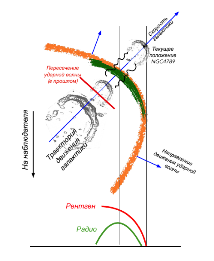 Иллюстрация того, как радиогалактика NGC 4789, ускоренная в процессе слияния скоплений до больших скоростей, может обогнать ударную волну, обогатить газ перед фронтом ударной волны релятивистскими частицами и обеспечить возможность быстрого распространения ускоренных частиц вдоль филаментов с сильным магнитным полем. Рисунок из статьи Churazov, E., Khabibullin, I., Bykov, A.M., Lyskova, N., Sunyaev, R. 2022.