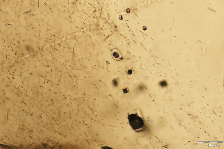 Фото: ИГМ СО РАН Группа первичных расплавных включений