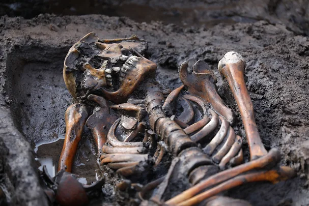 Скелет, обнаруженный во время археолого-географической экспедиции по изучению кургана Туннуг (Тыва)