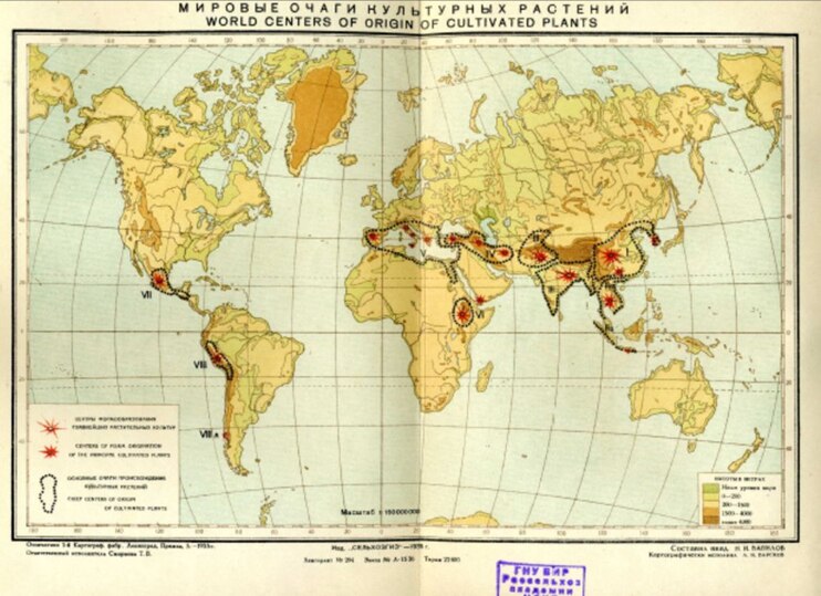 Карта времён Вавилова с пометкой мировых очагов культурных растений