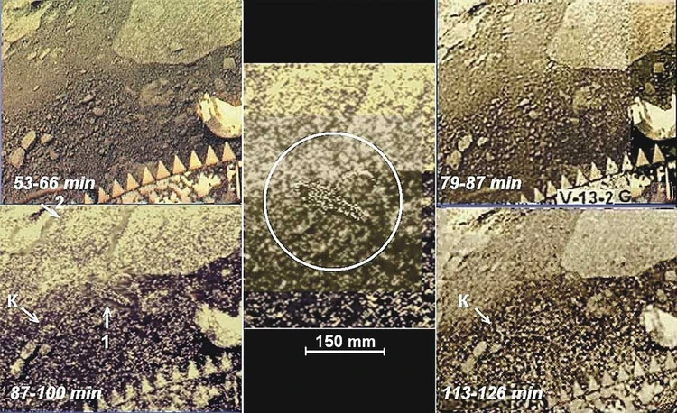 На изображениях, полученных аппаратом «Венера-13», в интервале 87–100 минут (внизу слева), виден объект, которого учёные назвали «скорпион» (в центре, обозначен кругом). На записях до и после этого отрезка времени «скорпион» куда-то исчезает