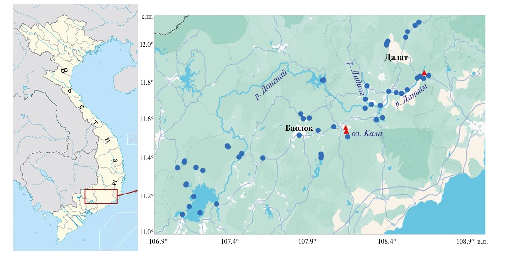 Схема станций сбора ихтиологических проб в бассейне р. Донгнай (синие точки) и места обнаружения краснобрюхой тиляпии Coptodon zillii (красные треугольники)