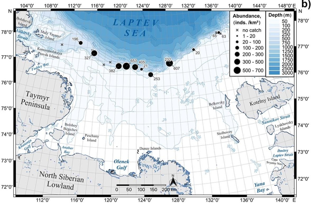 Рис. 4. Распределение полярного триглопса в море Лаптевых