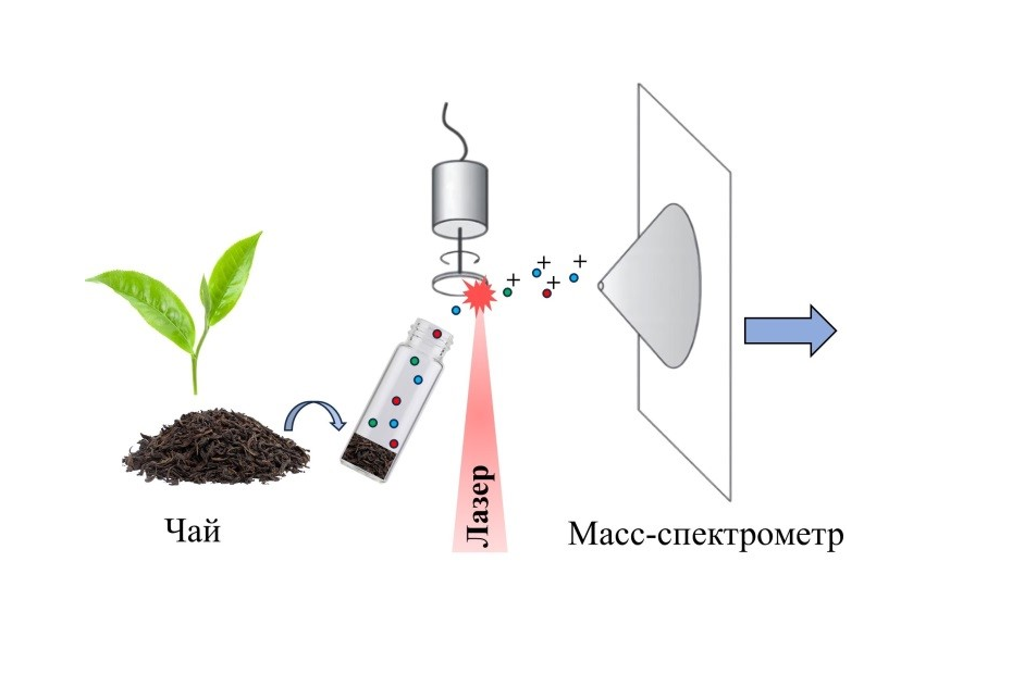 «Масс-спектрометрический нос» для анализа образцов чая