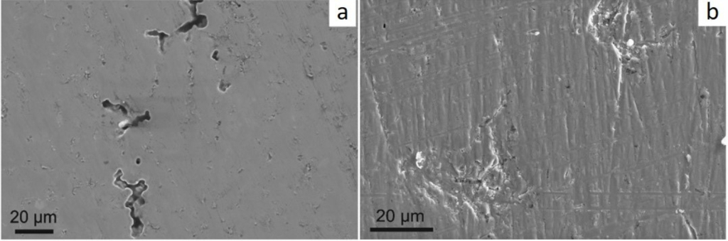 Микроскопические изображения сплава, полученные методами растровой электронной микроскопии, после коррозионных испытаний. а — при минимальной дозе облучения, b — при максимальной дозе облучения
