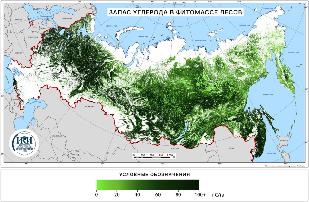 Запас углерода в фитомассе лесов России, 2021 г. Данные ИАС «Углерод-Э».