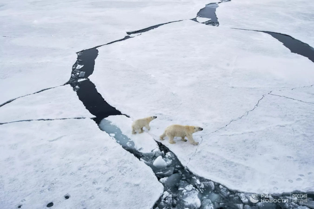 Арктика. Архивное фото. © РИА Новости / Валерий Мельников.
