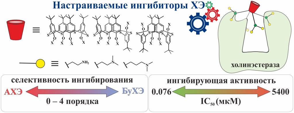 Связывание древовидных молекул с ферментом холинэстеразой