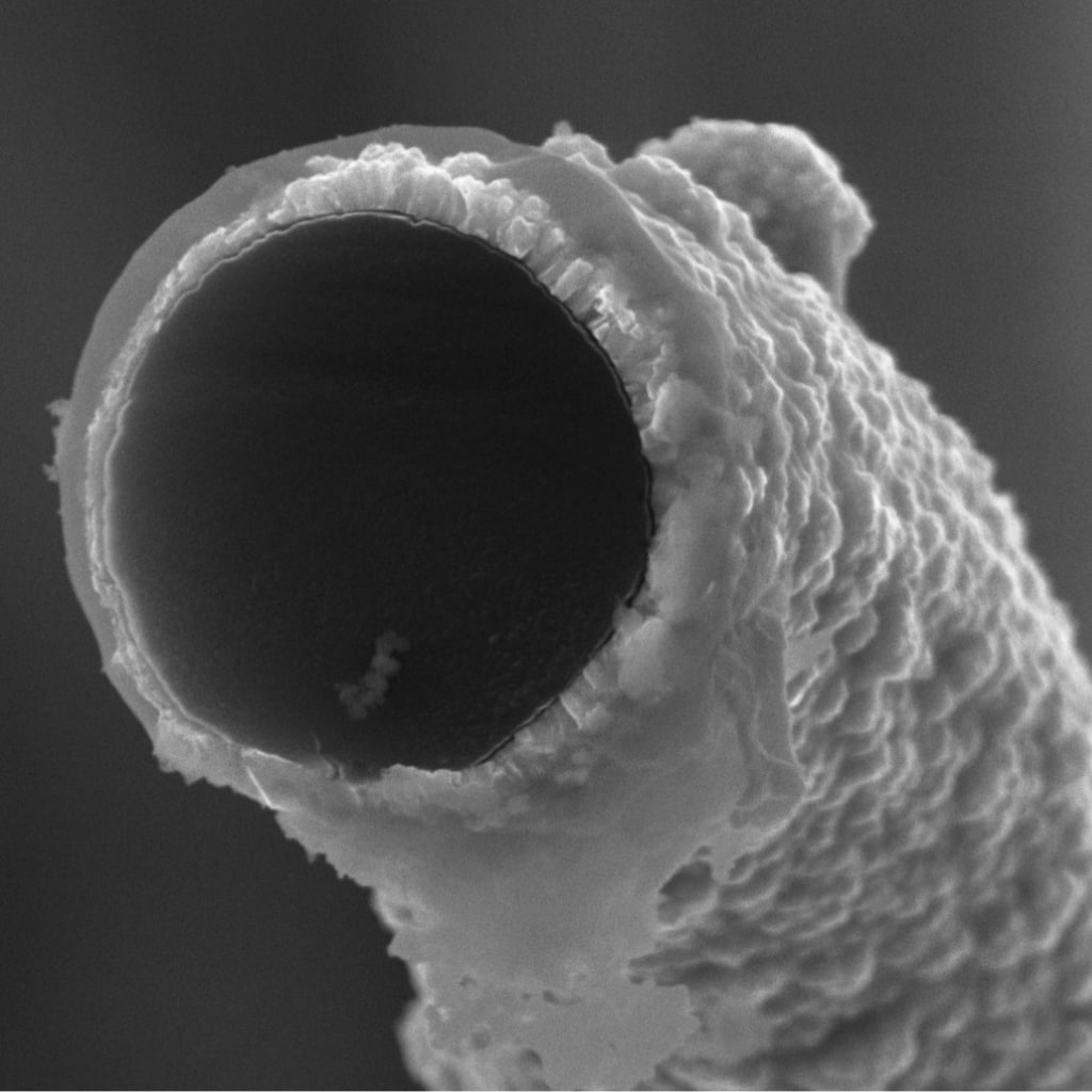 Изображение микротрубки, полученное методом сканирующей электронной микроскопии. Источник: Dmitriev et al. / Int. J. Hydrog. Energy, 2023.
