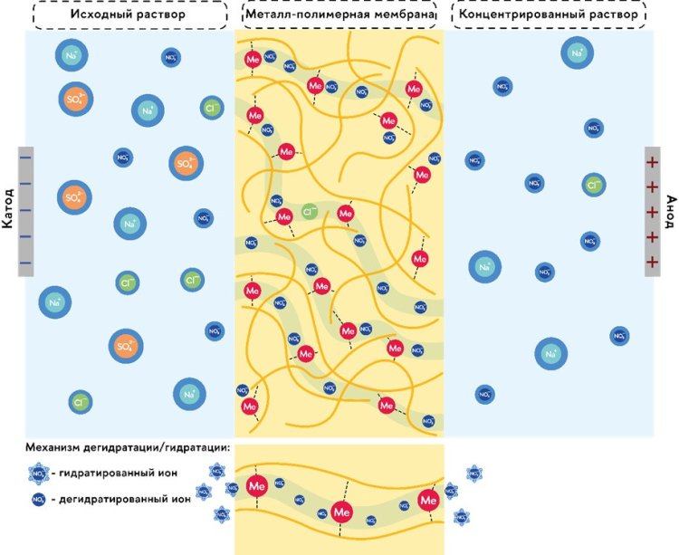 Схема разделения ионов металл-полимерной мембраной в процессе электродиализа