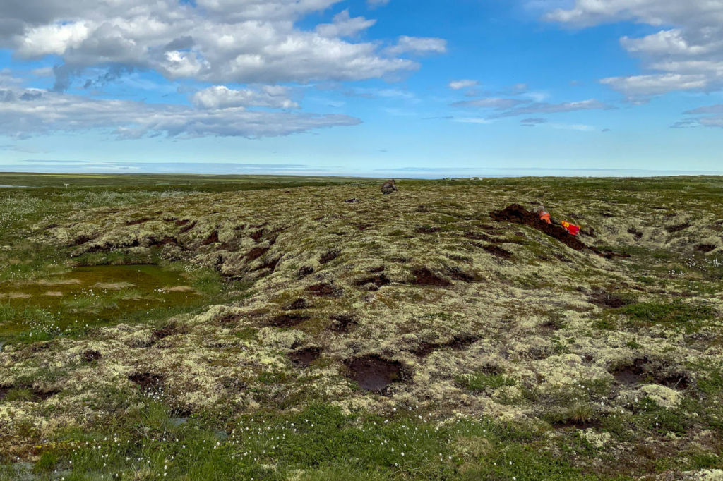 Ученые исследуют бугор на пальза-болоте. Фото: Алексей Кабонен.