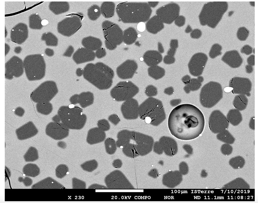Рисунок 3. Пример синтетических зерен оливина (темно серый цвет), находящихся в базальтовом стекле (светло серый цвет) – типичный продукт высокотемпературных экспериментов, используемых в исследованиях коэффициентов распределения в системе оливин/расплав.