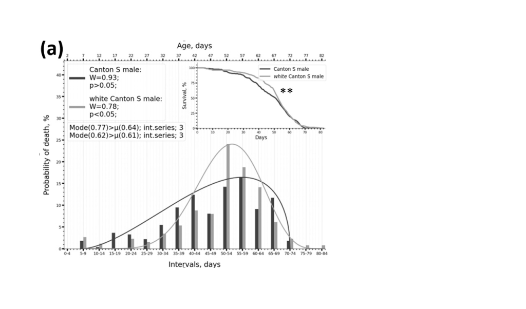 Изучены распределения продолжительности жизни у плодовой мушки