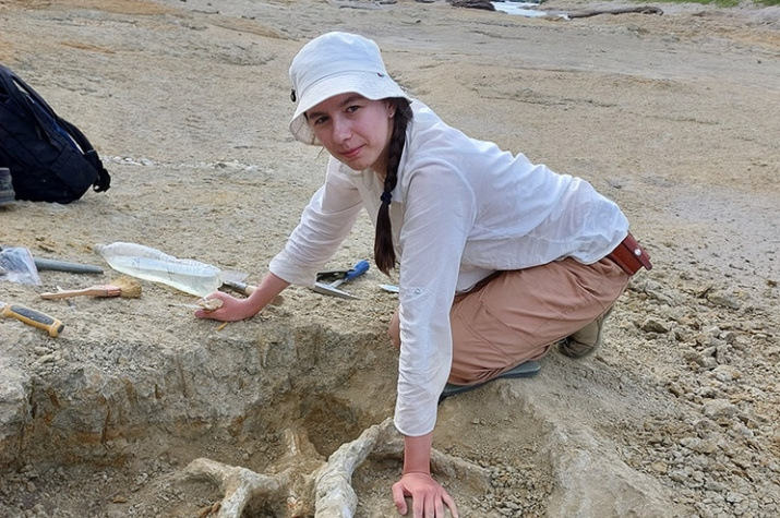 Палеонтологи обнаружили в Краснодарском крае останки гигантской саламандры