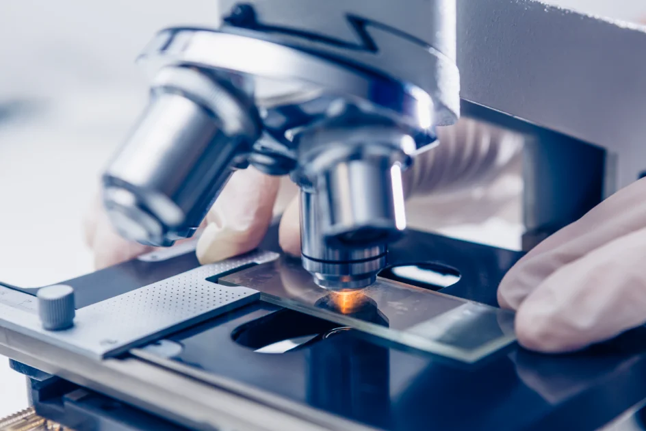 Получено наиболее подробное филогенетическое дерево для семейства Trypanosomatidae