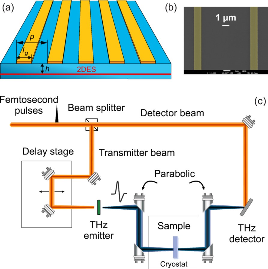 (a) Схематическое изображение плазмонного кристалла. (b) Изображение решётчатого затвора, полученное с помощью сканирующего электронно-лучевого микроскопа. (c) Принципиальная схема экспериментальной установки TDS (Time-Domain-Spectroscopy), на которой выделены основные элементы прибора