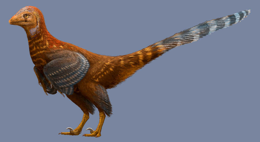 Это не современная птица, а древний динозавр – урбакодон. Своим названием обязан сотрудничеству узбекских, российских, британских, американских и канадских учёных, открывших и описавших его.