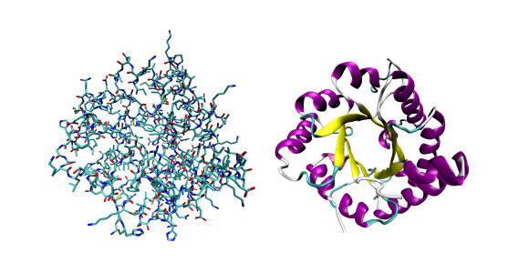 Предсказание структур белков поможет решать различные задачи биотехнологии и фундаментальной медицины
