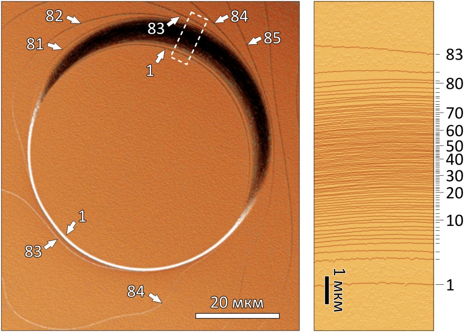 Нанолинейка мера высотой 26,025 нанометра. Изображение получено с помощью атомно-силового микроскопа