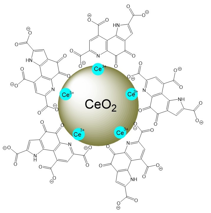 Схематическое изображение наночастиц церия, модифицированных пирролохинолинхиноном