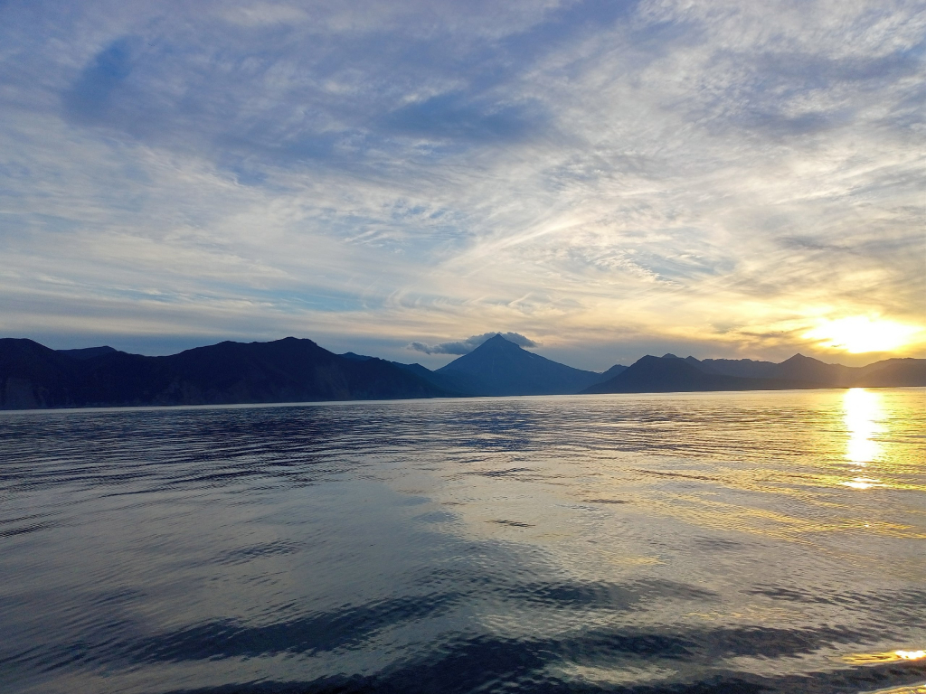 Оценка загрязнителей юго-восточной акватории Камчатки по численности бактерий