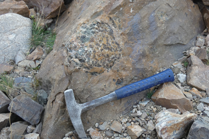 Фото: ИГМ СО РАН Ксенолит гранулита