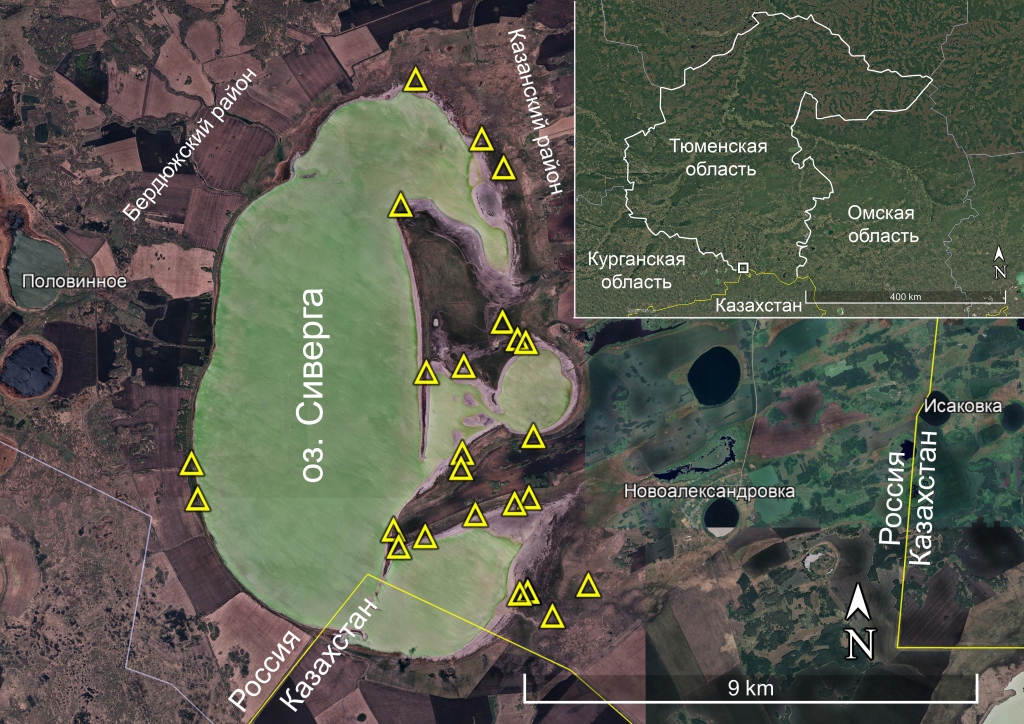 Сообщества с кермеком каспийским