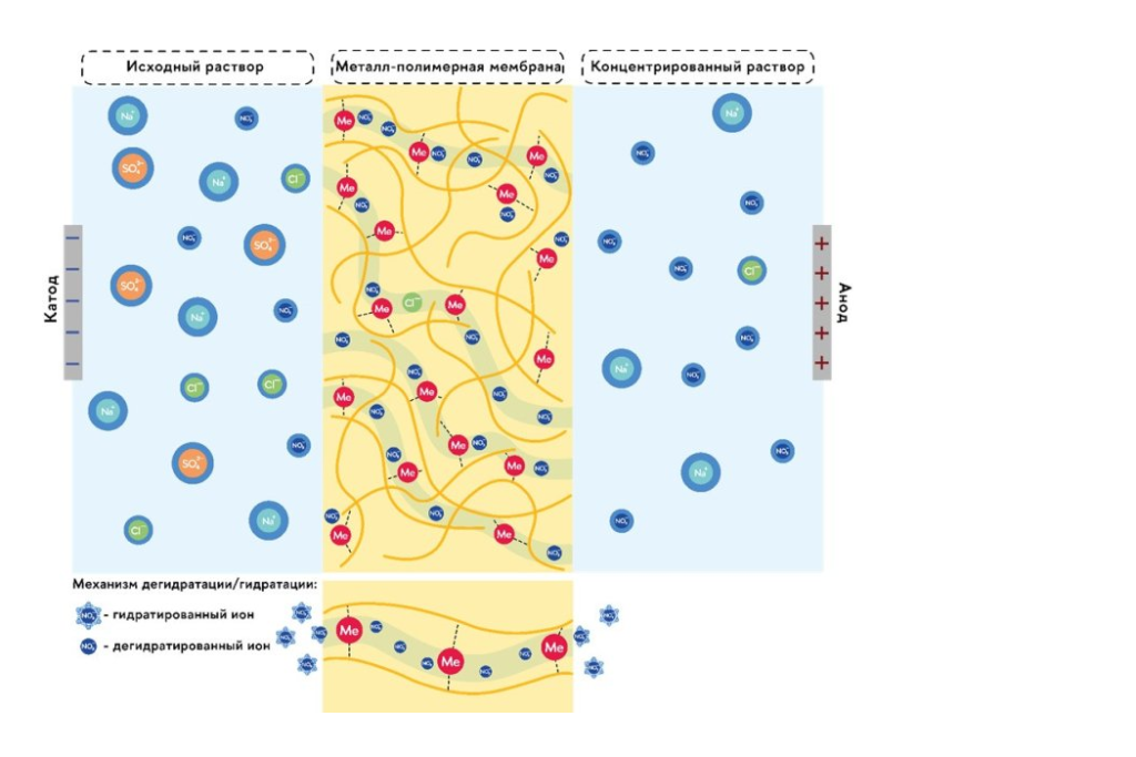 Новые металл-полимерные мембраны для электродиализа