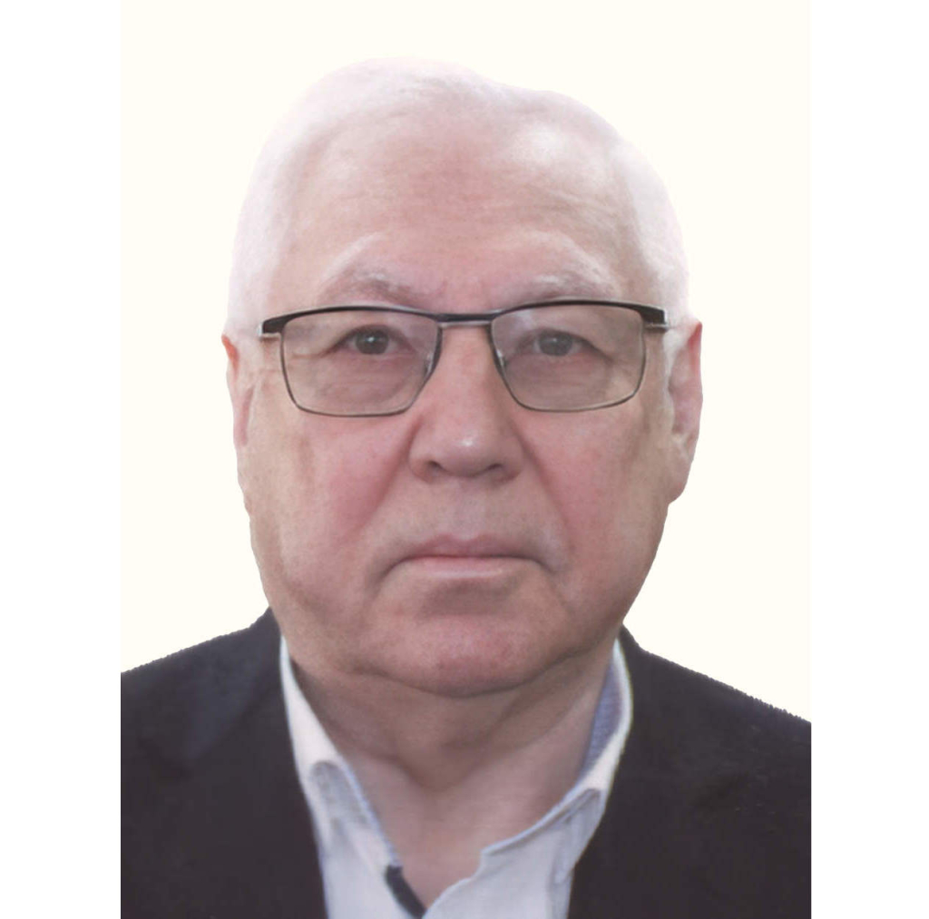 Нигматулин Булат Искандерович
