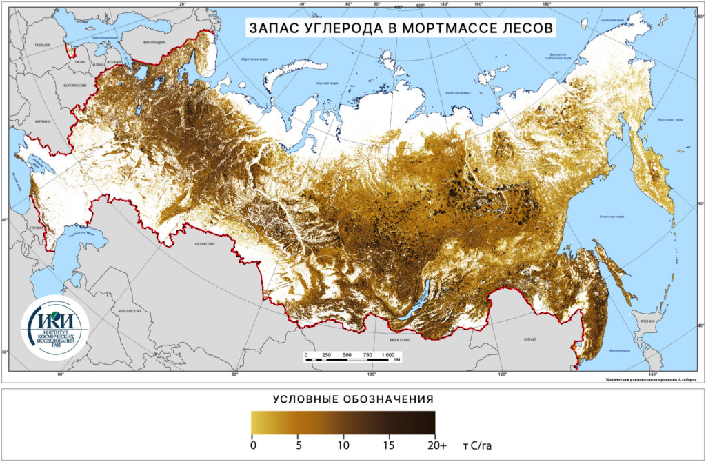 Запас углерода в мортмассе лесов России, 2021 г. Данные ИАС «Углерод-Э».