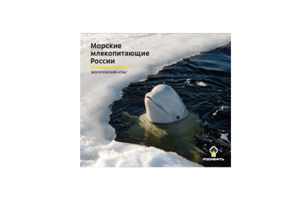 Вышел атлас «Морские млекопитающие России», подготовленный при участии сотрудников нескольких институтов РАН