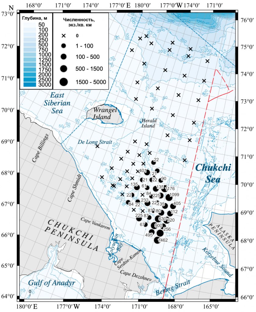 Рис. 2. Распределение люмпена Фабрициуса в Чукотском море