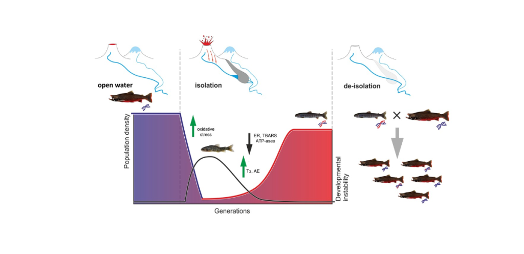 Описан механизм адаптации пресноводных рыб к выживанию в воде с экстремально высокой концентрацией тяжёлых металлов