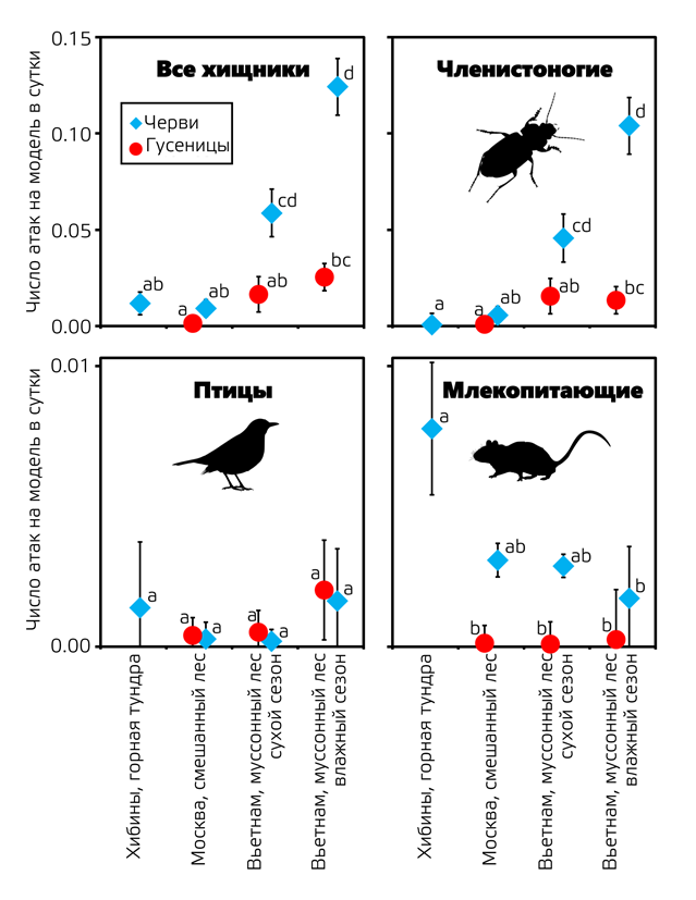 Частота атак на одну модель в сутки (средние значения и 95-процентные доверительные интервалы) для всех хищников в совокупности, а также отдельно членистоногих, птиц и млекопитающих. Модели были размещены либо на почве («дождевые черви», голубые ромбы), либо на растениях («гусеницы», красные круги) в различных экосистемах, слева направо: в горной тундре, смешанном лесу, в муссонном тропическом лесу в сухой и влажный сезон. Разные буквы указывают на статистически значимые различия