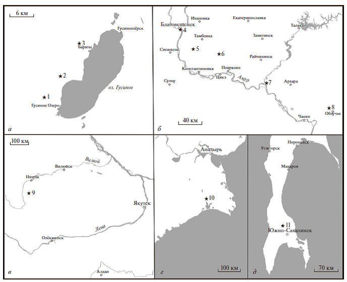 Местонахождения динозавров в районе Гусиного озера, Бурятия (а), в Амурской области (б), Якутии (в), на Чукотке (г) и Сахалине (д): 1 – Борул; 2 – Могойто (Tengrisaurus starkovi); 3 – Ацай; 4 – Благовещенск (Amurosaurus riabinini, Kerberosaurus manakini); 5 – Гильчин; 6 – Димское; 7 – Асташиха; 8 – Кундур (Olorotitan arharensis, Kundurosaurus nagornyi, Arkharavia heterocoelica); 9 – Тээтэ; 10 – Каканаут; 11 – Синегорск (Nipponosaurus sachalinensis); ранний мел (1–3, 9), поздний мел (4–8, 10, 11).