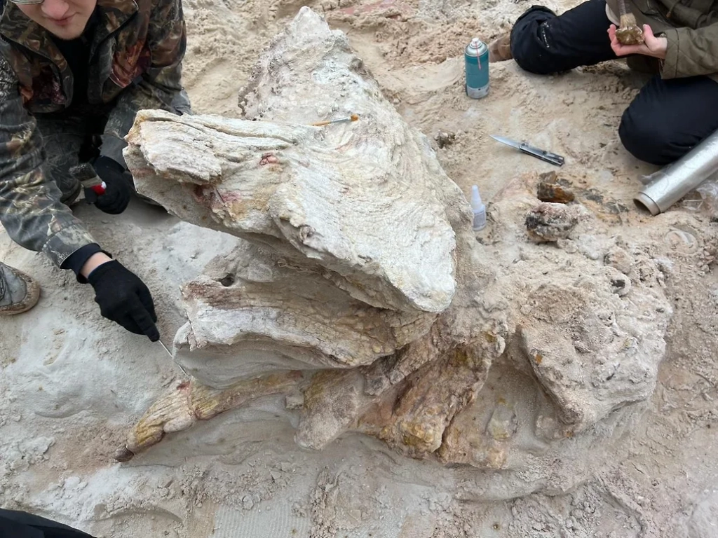 «Чем непонятнее, тем уникальнее»