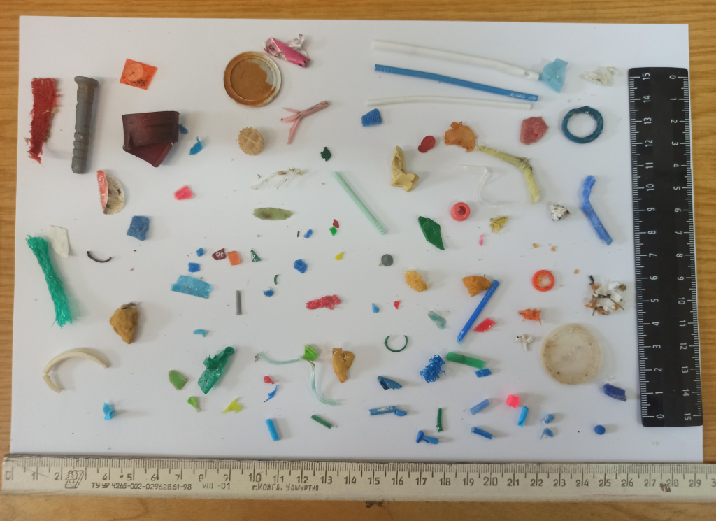 Мелкий мусор, собранный на пляжах Калининградской области