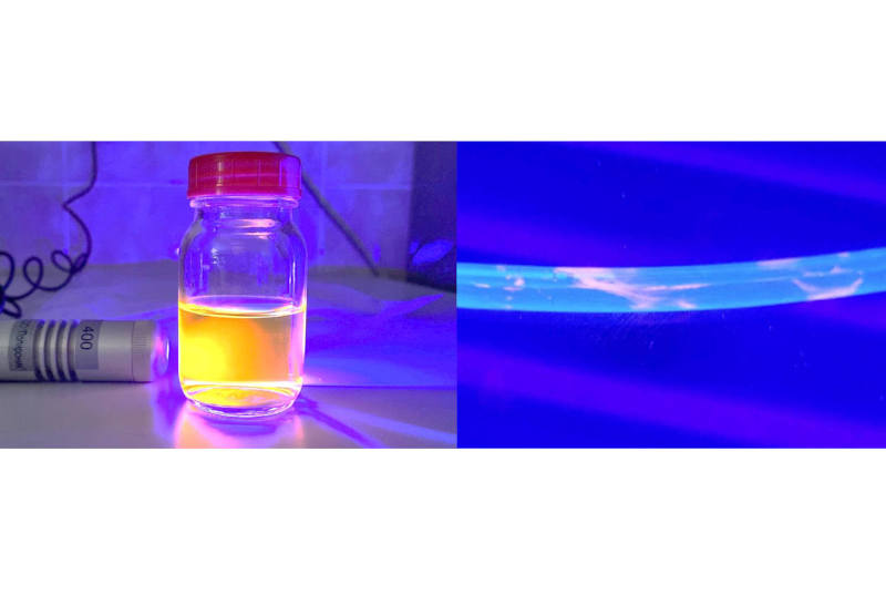 Золотые «фонарики» подсветят бактерии на медицинских устройствах
