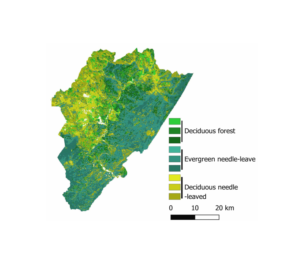 Разработана методика прогнозирования развития лесов