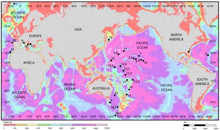 Батиметрическая карта Мирового океана с указанием географического распространения мшанок на железомарганцевых корках.