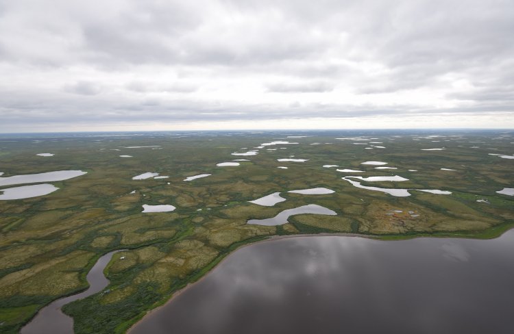 Нефтяная площадка среди болот Западной Сибири. Фото А. Сирина.