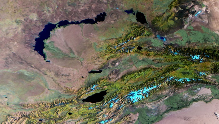  Учёные научили ИИ быстро и точно считать листву из космоса