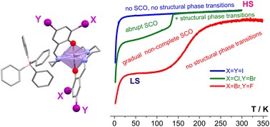 Три похожих комплекса марганца — три сценария магнитного поведения