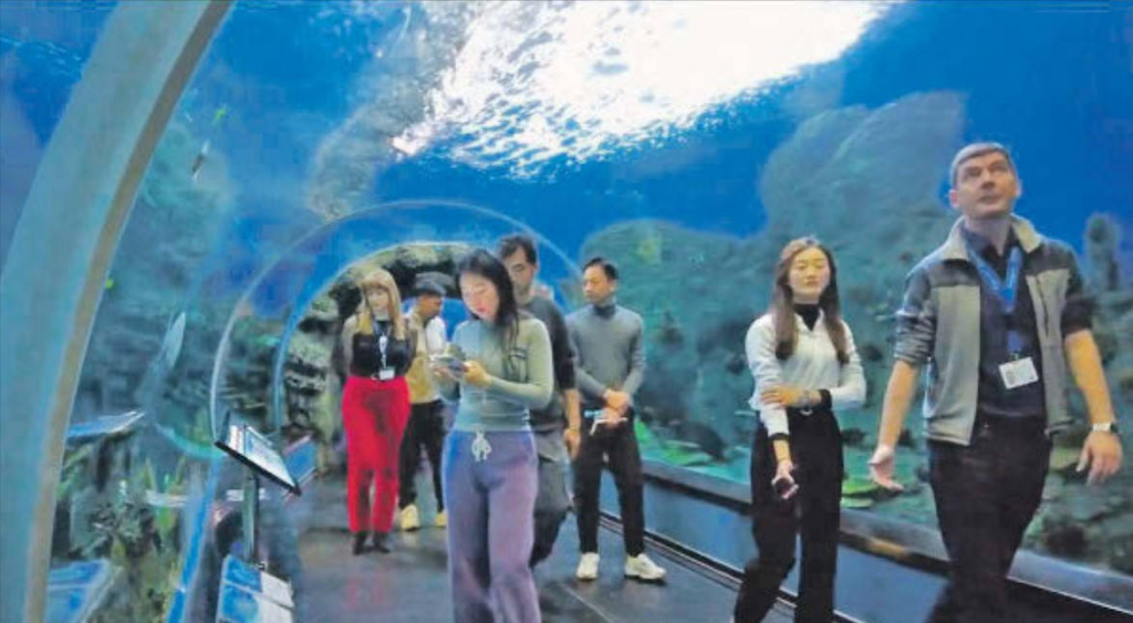 Специалисты из Китая на экскурсии по экспозициям Приморского океанариума. Фото пресс-службы Приморского океанариума.